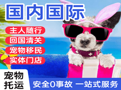 衡阳空运国际宠物托运 【国